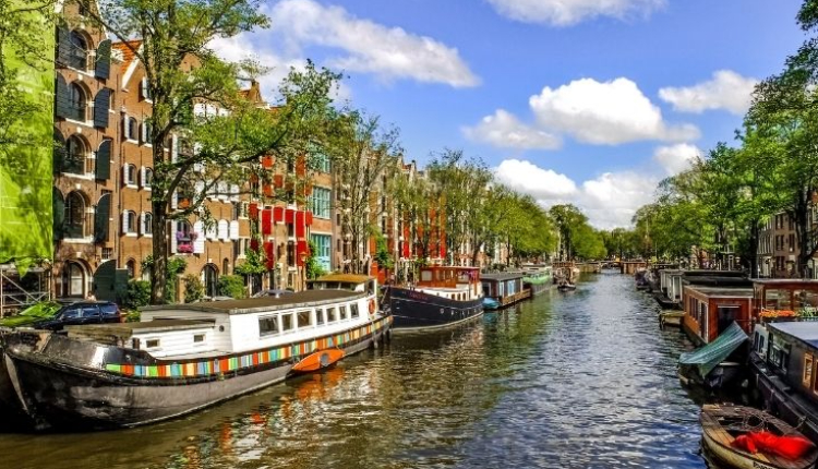 Hollanda Vize Reddi: Nedenleri ve Başvurunuzu Nasıl Güçlendirebilirsiniz